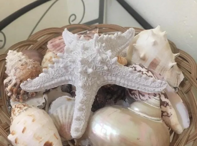 Casa Gaia * Віллазімьюс